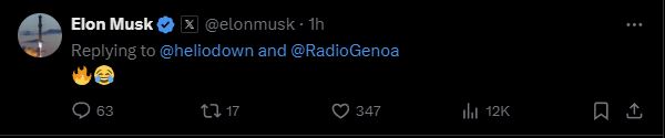Elon Tweet 3